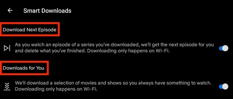 Jak pobrać film z Netflixa na dysk i cieszyć się offline bez ograniczeń