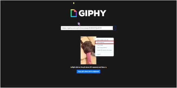 Prosty sposób jak pobrać gif z każdej strony w 3 krokach - szybki poradnik