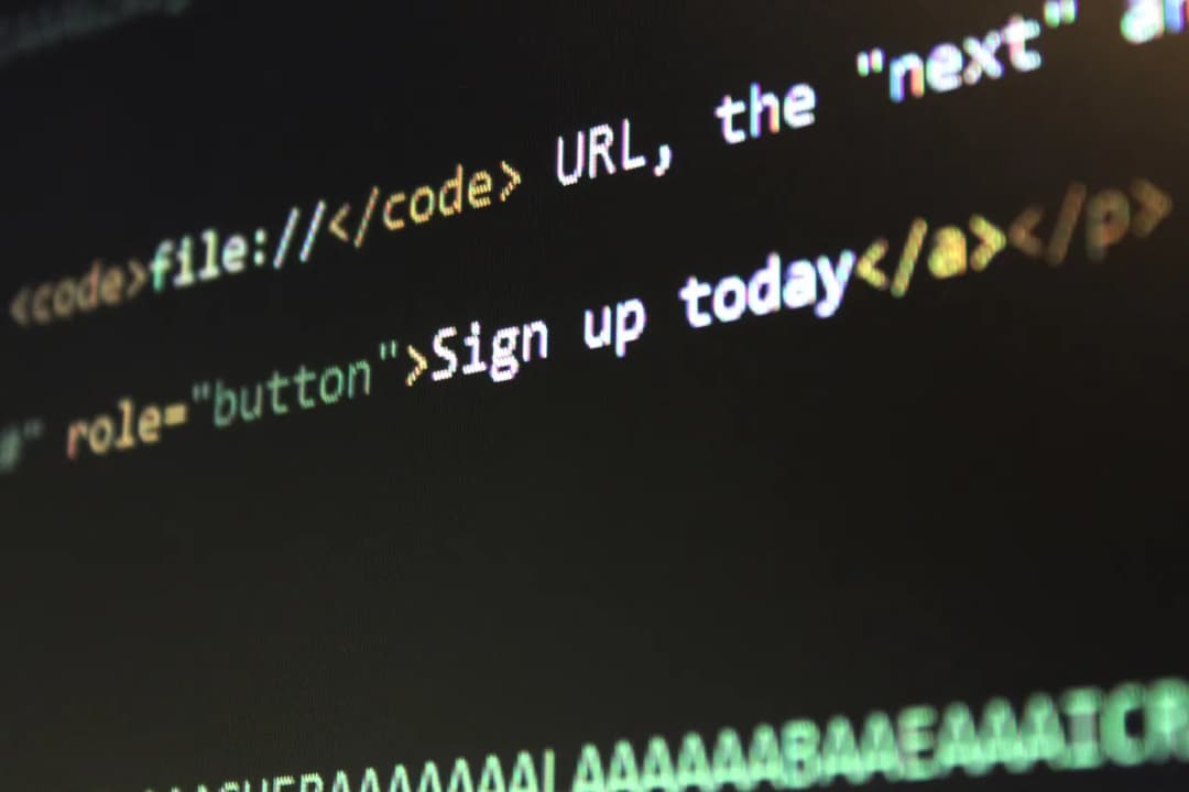 Jak wstawić zdjęcie w HTML i sprawić, aby strona ożyła wizualnie
