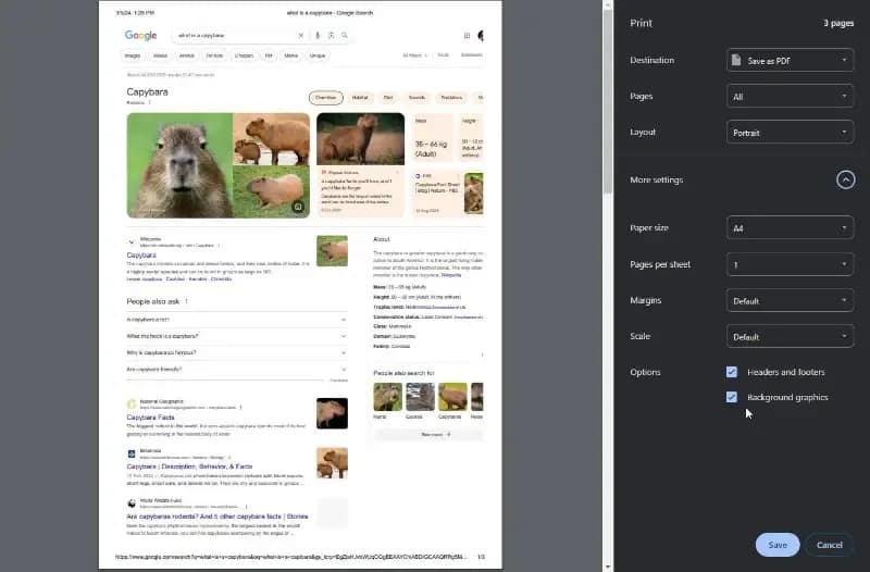 Jak zmienić HTML na PDF w prosty sposób i uniknąć problemów z konwersją